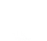 Night Garden Studio